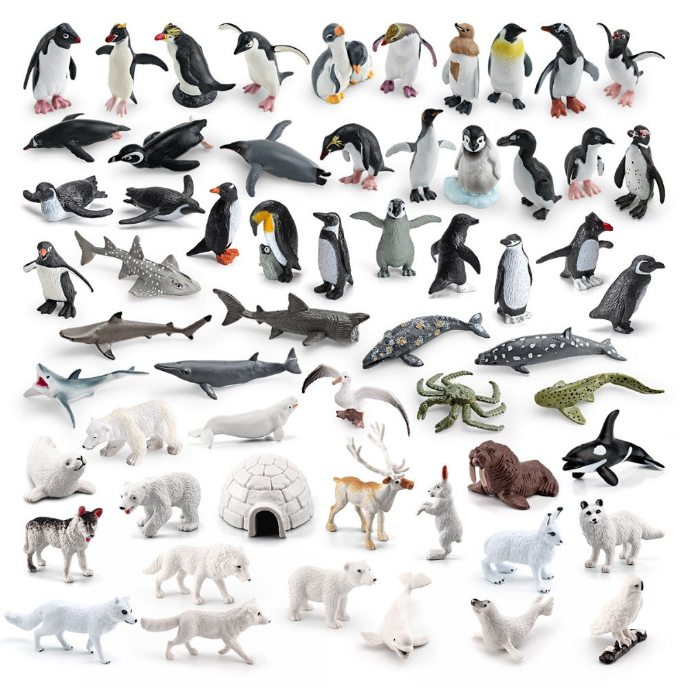 Set of 26 Wild Polar Marine Animals for Education