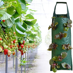 Hanging Strawberry Grow Bag for Homegrown Berries