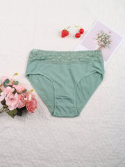 6pcs Lace Briefs Stretchy Intimates Panties Women's Lingerie