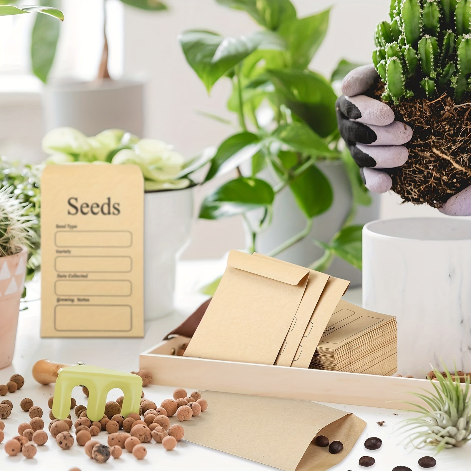 50pcs Resealable Seed Envelopes 8 x 11.99 cm with Seed Collecting Template