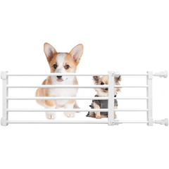 img_7360155