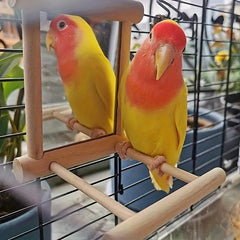 Bird Mirror Parrot Toy Wood Stair Climbing Jumping Ladder Pet Supplies Station