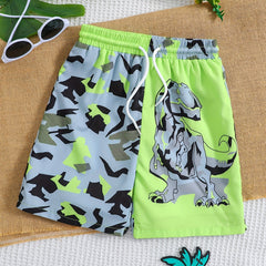 Boys Geometric Dinosaur Swim Trunks Elastic Waist Beach Shorts