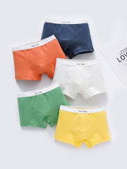 5pcs Boys Lion Print Boxer Shorts Underwear