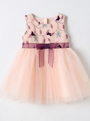 Girls Sleeveless Embroidered Bow Tulle Tutu Princess Dress