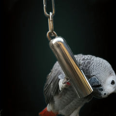 Stainless Steel Bell Toy For Birds Heavy Duty Bird Cage Toys