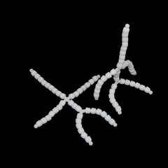 img_2751731