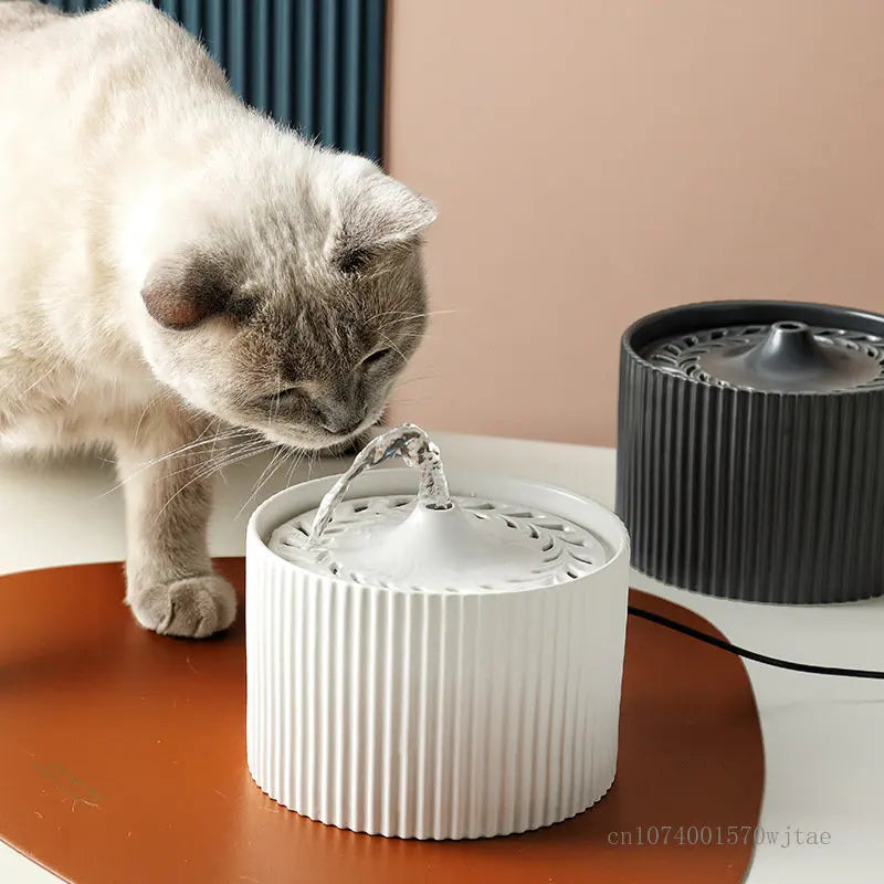img_5087708