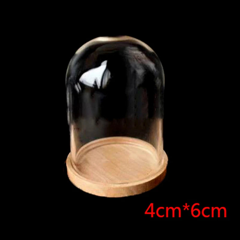 img_2968904