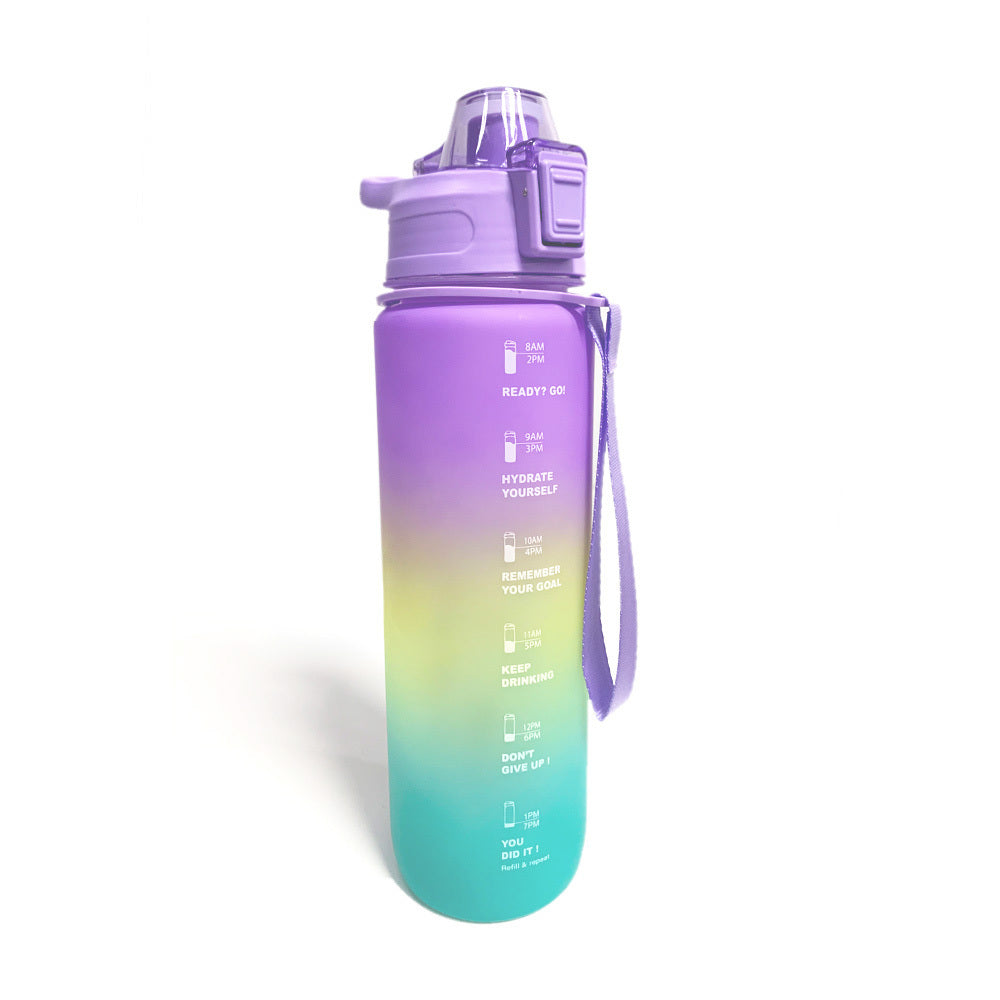 Gradient 1L Water Bottle with Straw