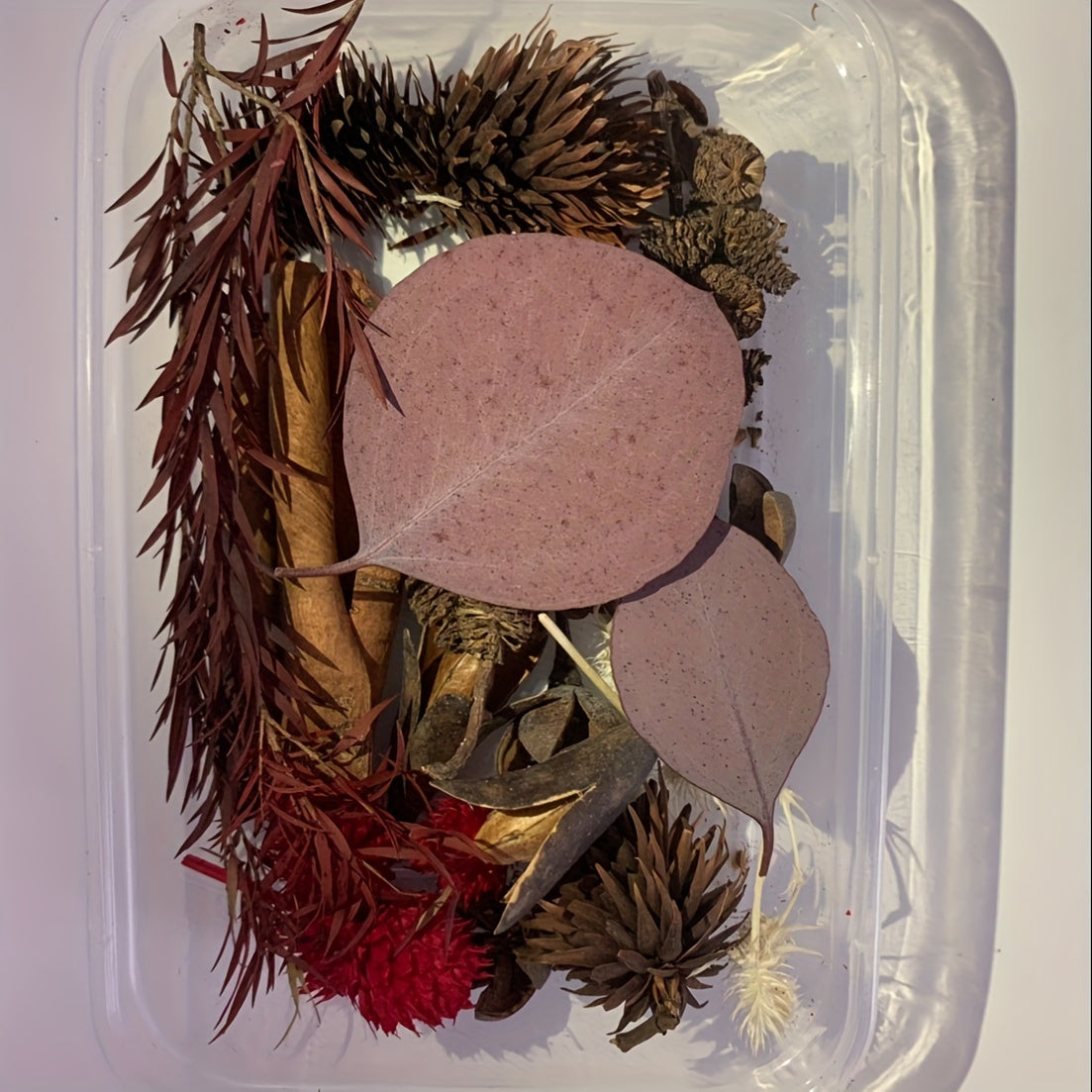 Dried Fruits & Flowers DIY Kit Natural Plants Pine Nuts Cinnamon Decor