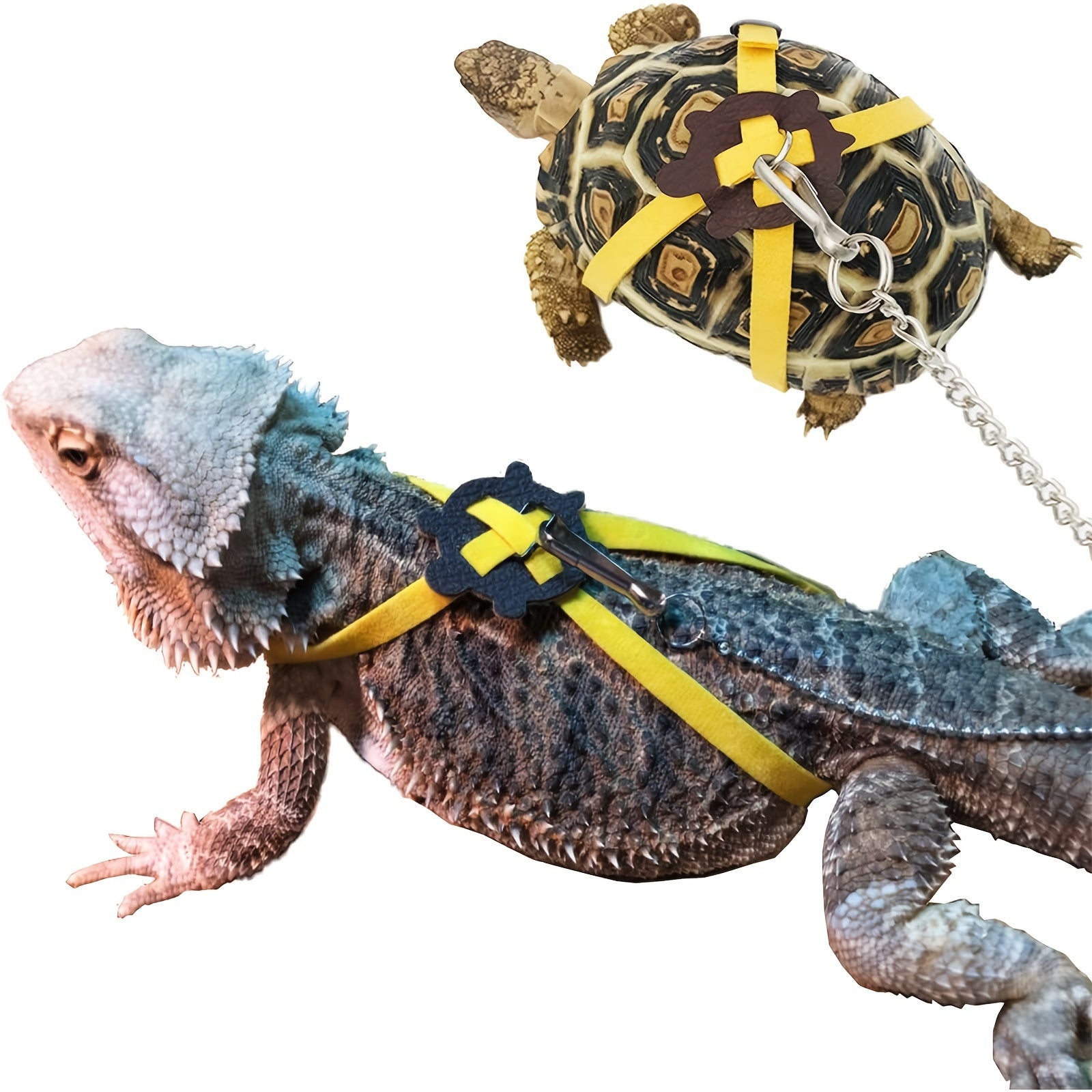 Turtle Leash and Harness Set - Walk Your Tortoise Safely - Essential Supplies