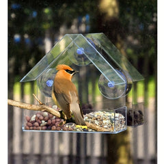 Clear Plastic Window Bird Feeder with Suction Cups