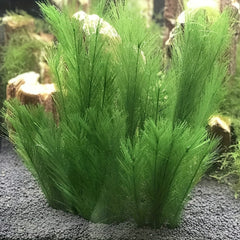 Artificial Green Water Plants Fish Tank Decoration