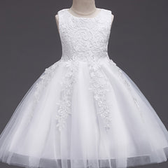 Girls Sleeveless Princess Tutu Dress Flowers Embroidery Tulle Performance Dress