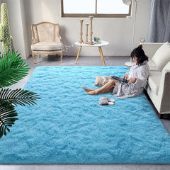 Soft Fluffy Carpet for Bedroom Kitchen Rug Plush Dormitory Room Bedside Small