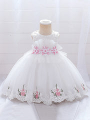 Baby Girl Mesh Embroidered Princess Dress