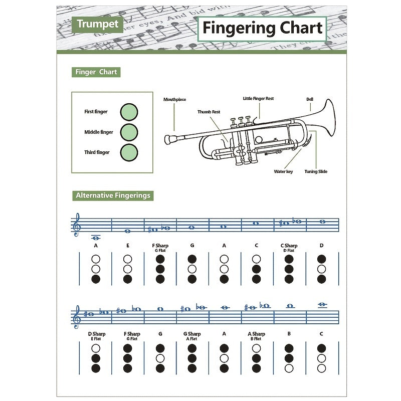 Practical Trumpet Finger Book for Beginners