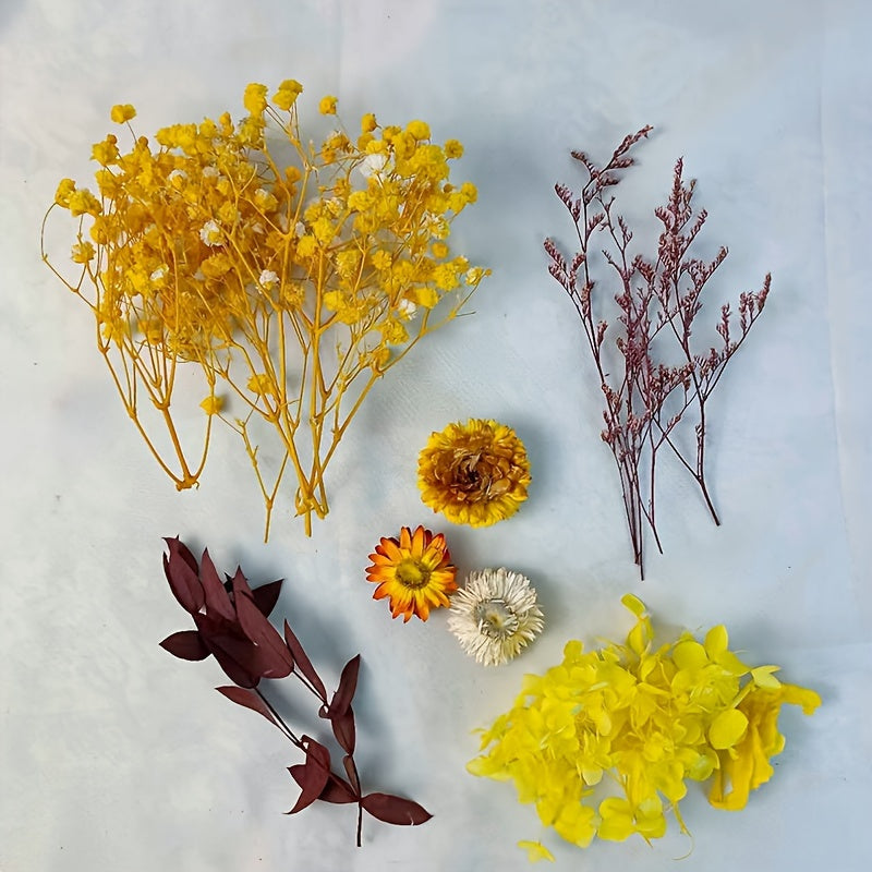 DIY Craft Mixed Dried Flowers for Arrangements Framing Resin Fillers