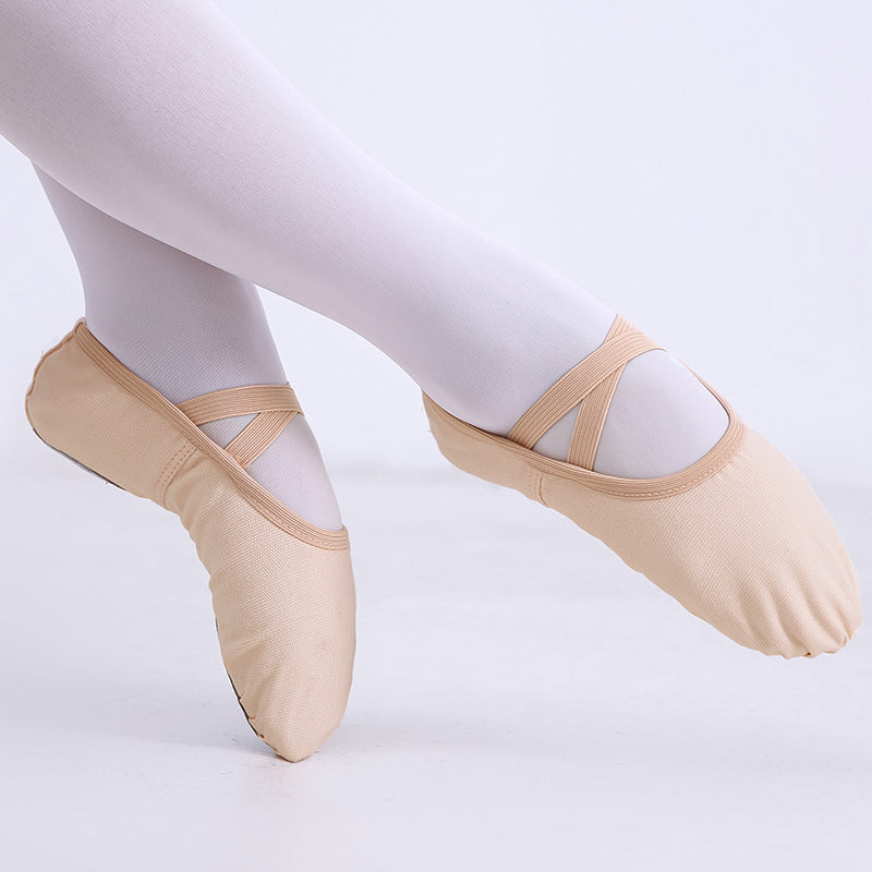Cat Claw Ballet Shoes for Women Soft-soled Dance Practice Shoes