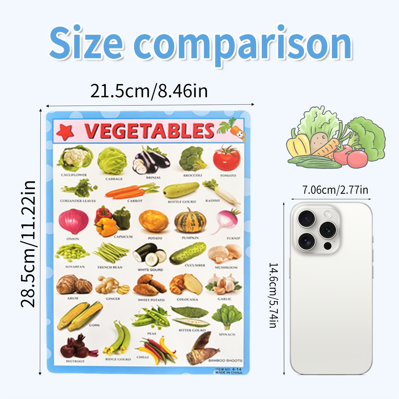 Educational Poster Charts for Kids Alphabet Fruits Vegetables Domestic & Wild An