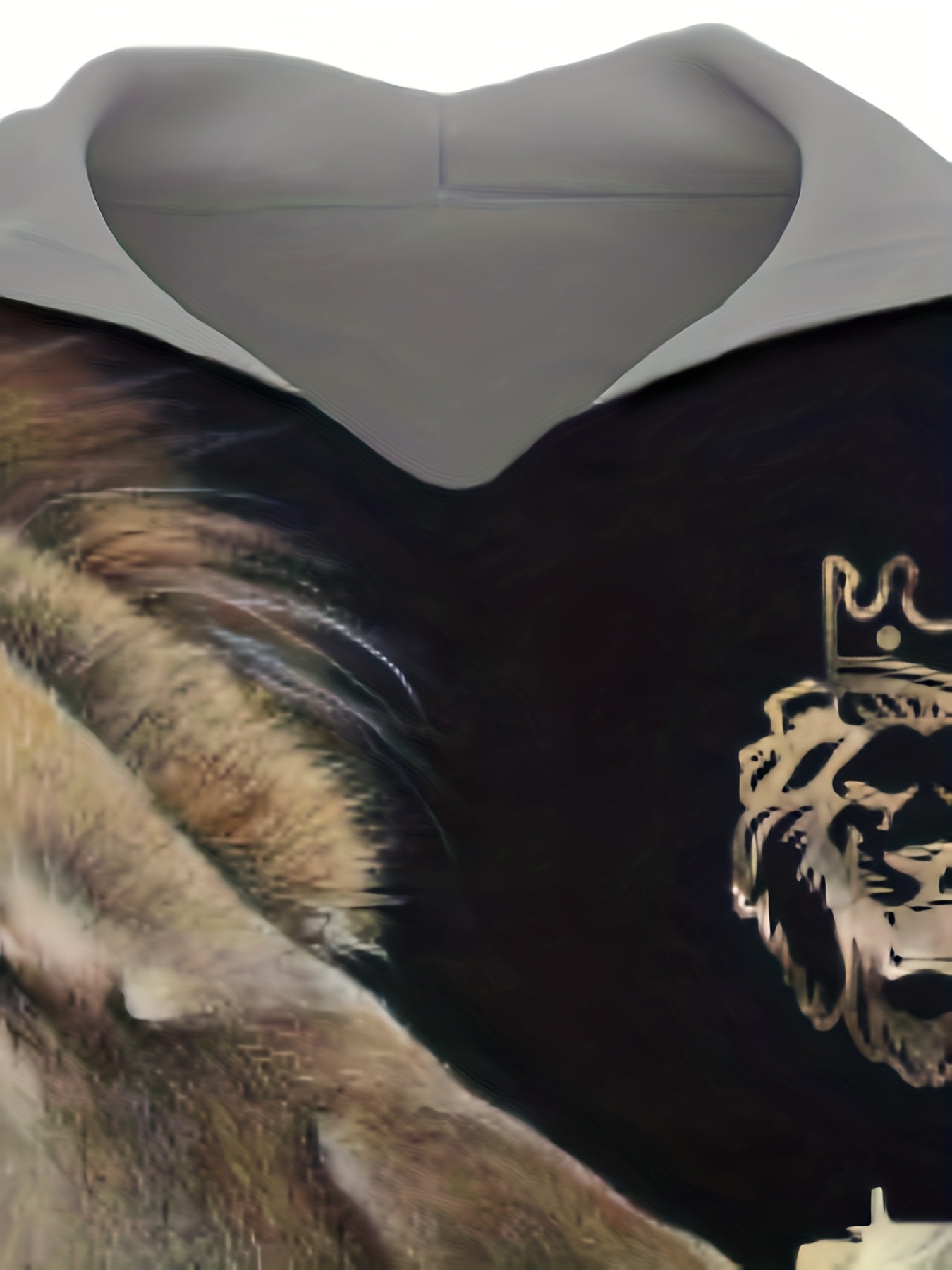 3D Print Lion Hoodie Comfy Loose Hooded Pullover Men's Clothing