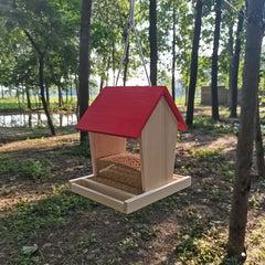 Wooden Bird Feeder & Squirrel House Box