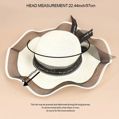 Large Brim Sun Hat Mesh Hat for Men and Women