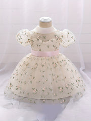 Baby Girl's Floral Embroidery Mesh Princess Dress