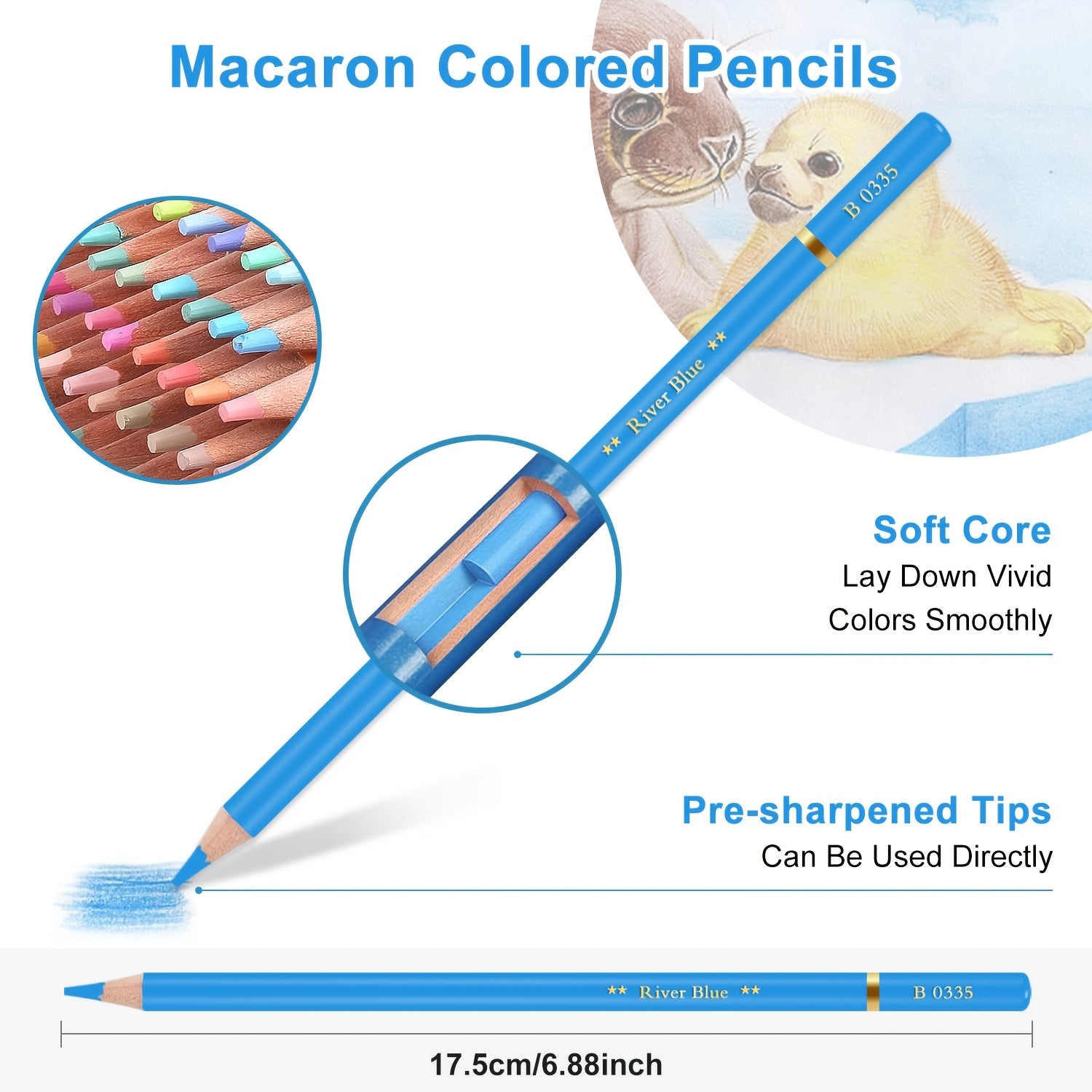 img_4738528
