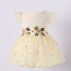 Toddler Girls Daisy Embroidered Mesh Princess Dress