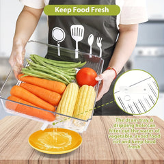 10pcs PET Refrigerator Storage Box Pantry Organization With Lids