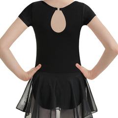 Toddler Girls Ballet Leotard Tutu Dress