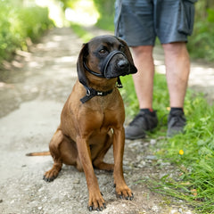 img_4675776