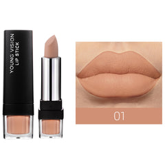 Classic Red Brown Lipsticks Nude Matte Finish 12 Colors