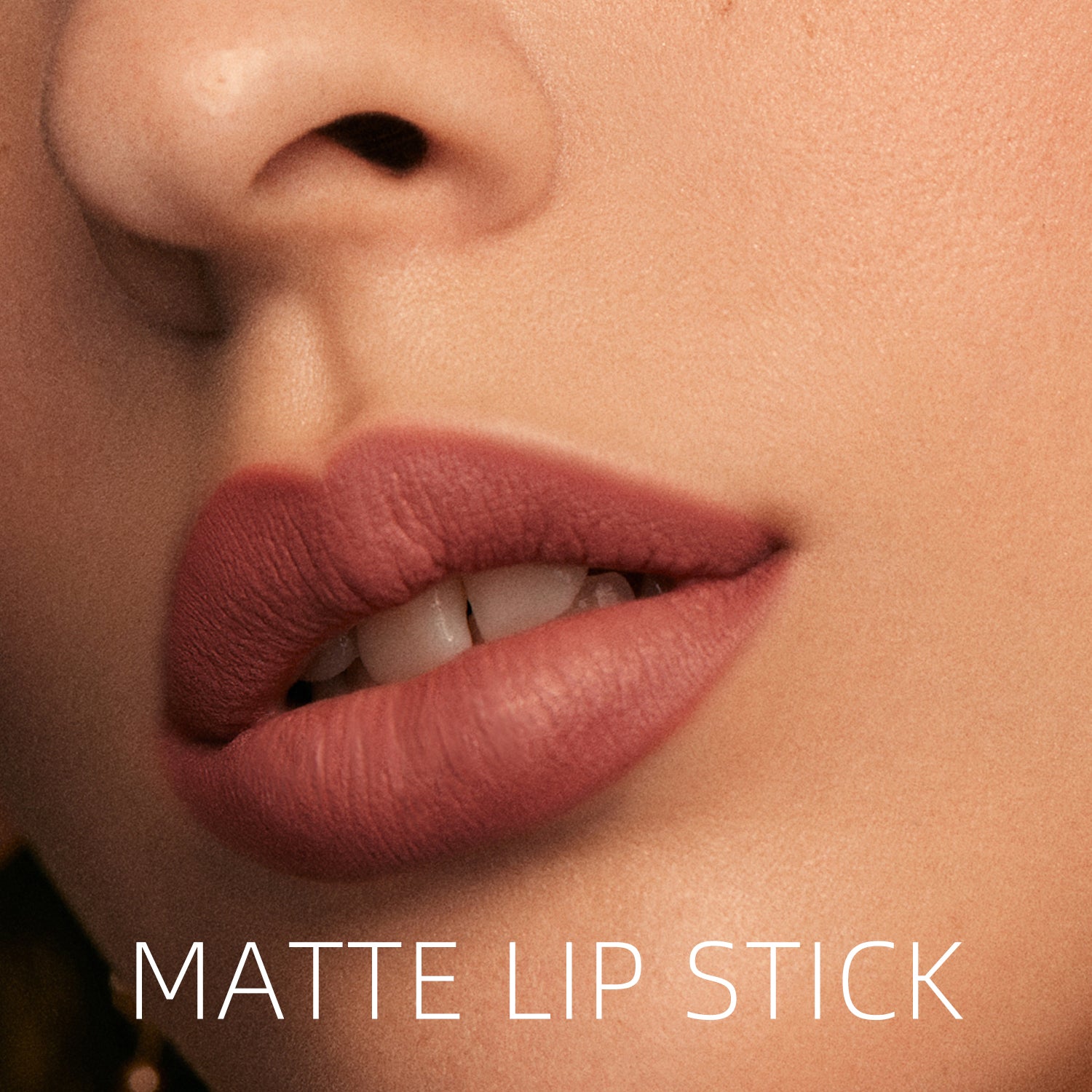 Classic Red Brown Lipsticks Nude Matte Finish 12 Colors