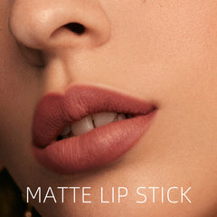 Classic Red Brown Lipsticks Nude Matte Finish 12 Colors