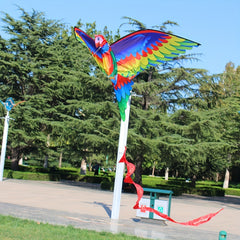 3D Parrot Kite Outdoor Activity Flying Toy