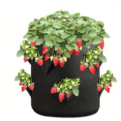 Strawberry Planting Bag, 8 Holes, Reinforced Handle, Breathable Non-woven Fabric