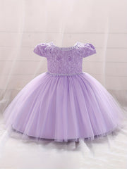 Baby Girls Puff Sleeve Mesh Princess Dress Clothes