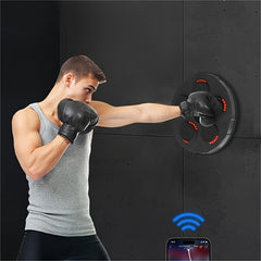 Smart Boxing Training Target Home Sports Fitness Boxing Machine