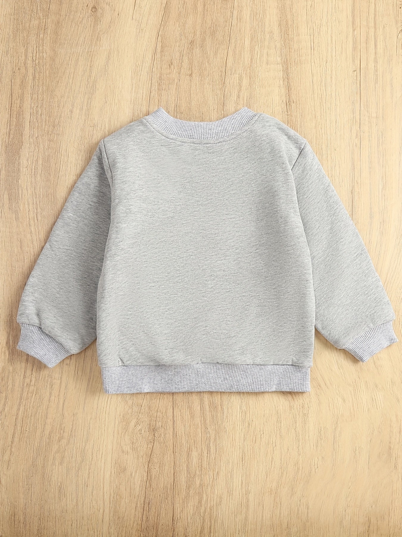 Boys Cartoon Sweatshirt Long Sleeve Pullover