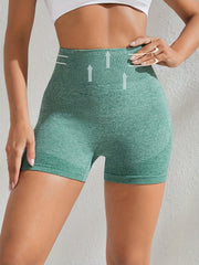 High Waist Elastic Workout Sports Shorts Seamless Yoga Fitness Shorts