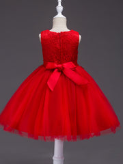 Girls Sleeveless Puffy Princess Dress Flowers Embroidery Tulle Tutu Dress