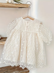 Toddler Girls' Lace Sweet Princess Dress For Party