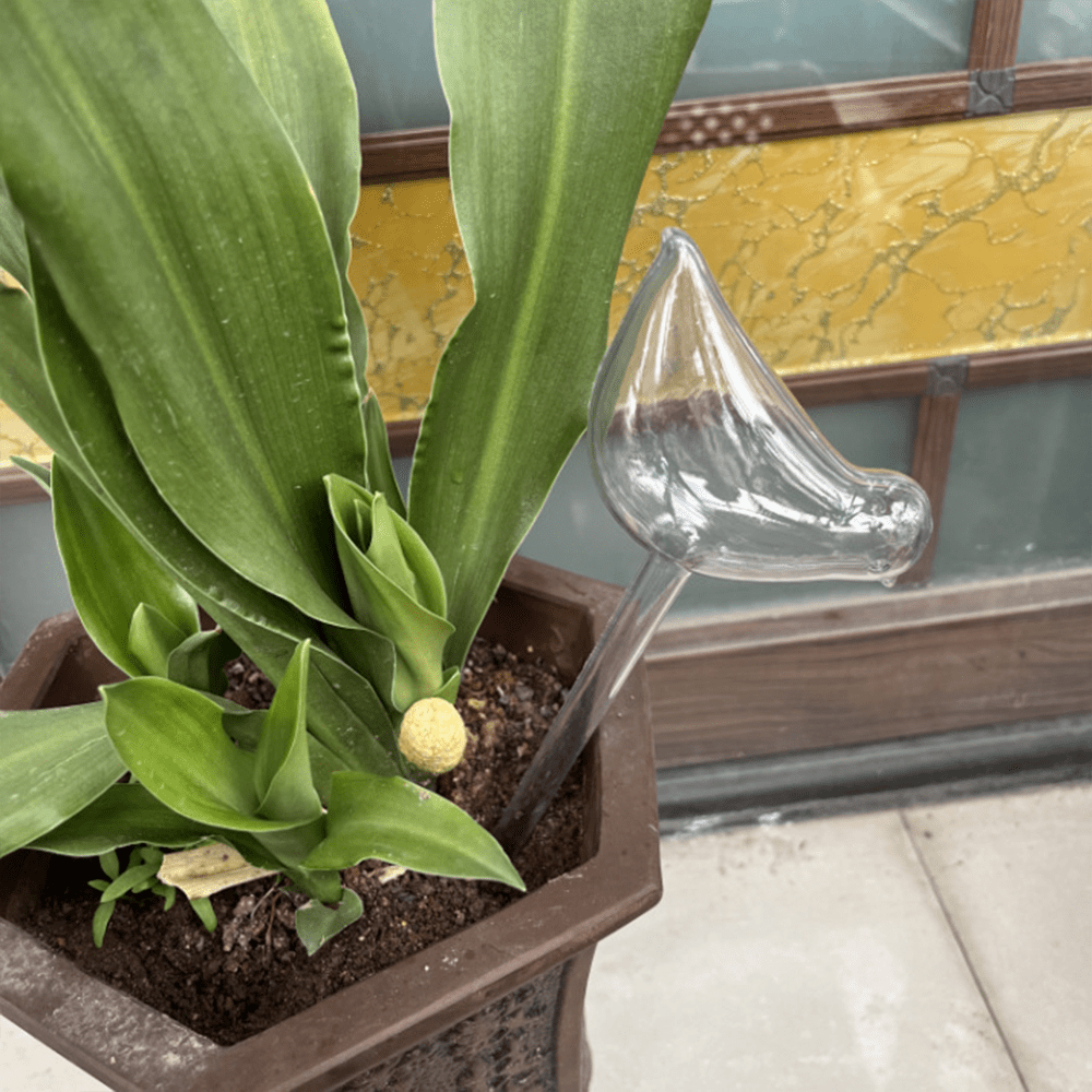 2 Pcs Plant Waterer Self Watering Globes Bird Shape Hand Blown Clear Plastic