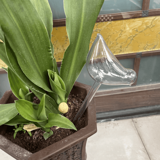 2 Pcs Plant Waterer Self Watering Globes Bird Shape Hand Blown Clear Plastic