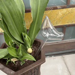 2 Pcs Plant Waterer Self Watering Globes Bird Shape Hand Blown Clear Plastic