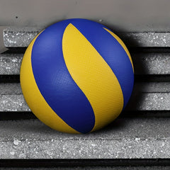 Professional Competition Volleyball No. 5 with Pump