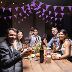 10m Pennant Banners Flags Triangle Bunting Bulk Garland